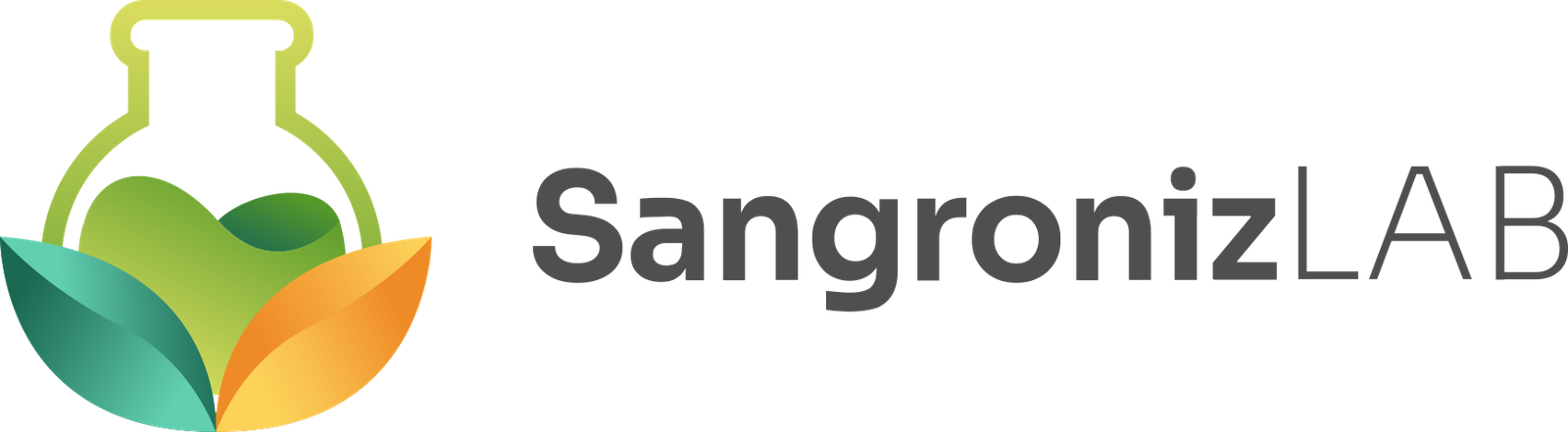 LOGO SANGRONIZ LAB