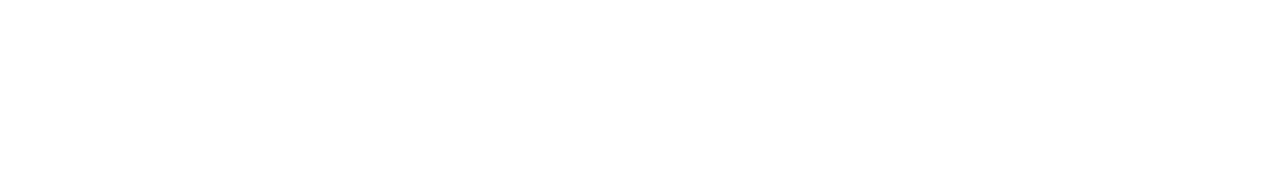 logo sangorniz lab white