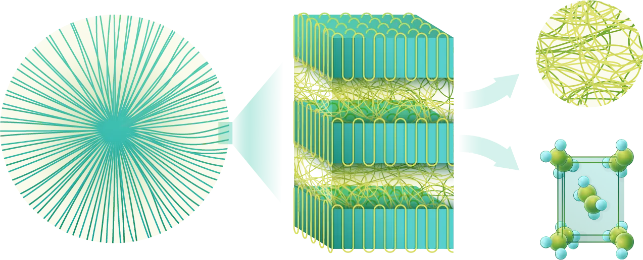 Illustration_Research_Line_1_Leire_Sangorniz_Polymer_Crystallization Illustration Research Line 1 Leire Sangorniz Polymer Crystallization