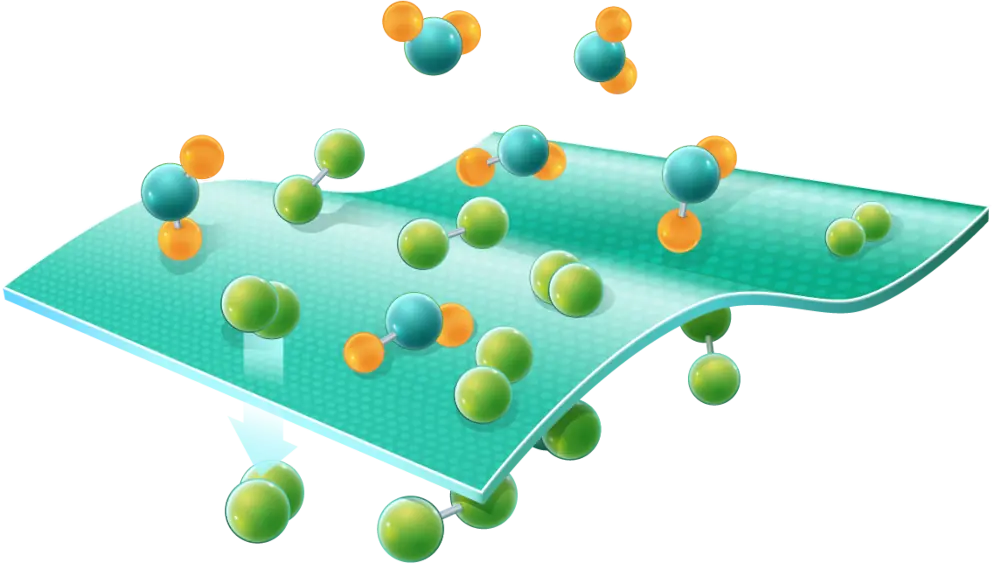 Illustration_Research_Line_Ainara_Sangorniz_High_Barrier_Material Illustration Research Line Ainara Sangroniz high barrier materials